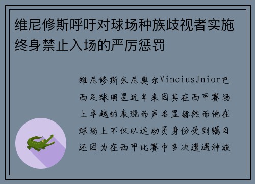 维尼修斯呼吁对球场种族歧视者实施终身禁止入场的严厉惩罚